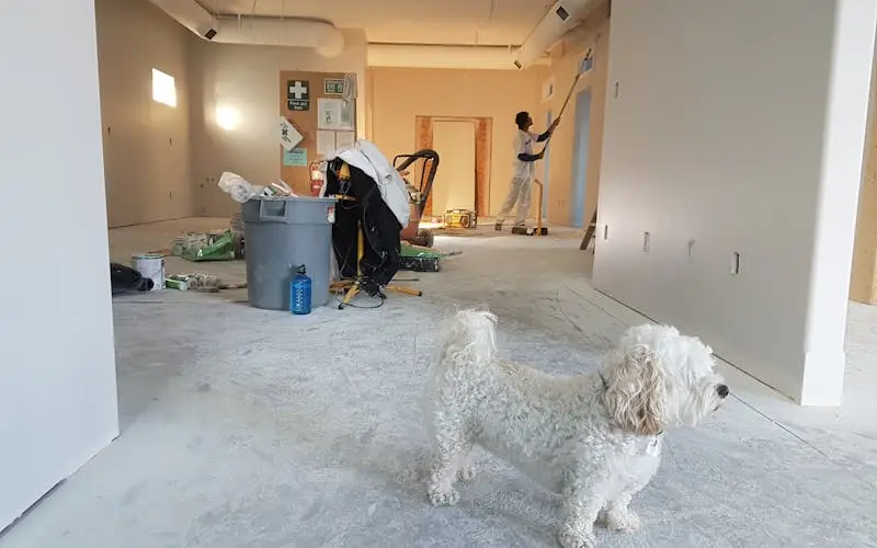 DIY: BASEMENT
